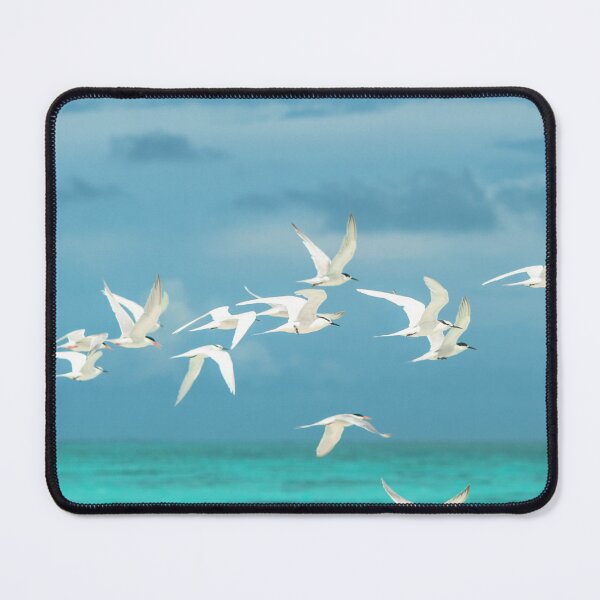 Item preview, Flock of White Seagulls Flying over Turquoise Water designed and sold by cgroenewald.