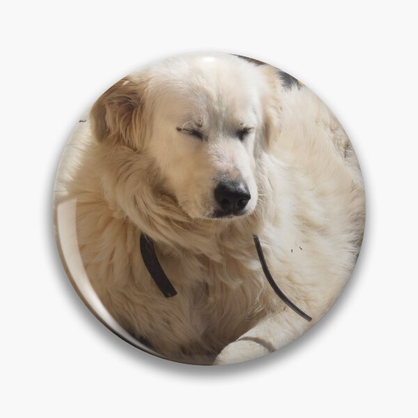 Item preview, Dog resting in the sun 1 designed and sold by Furiarossa.