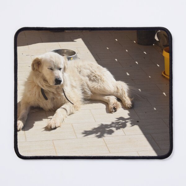 Item preview, Dog resting in the sun 1 designed and sold by Furiarossa.