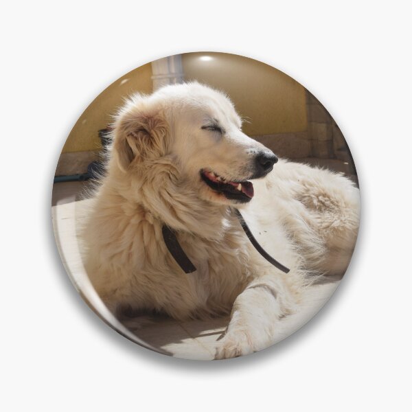 Item preview, Dog resting in the sunlight 1 designed and sold by Furiarossa.