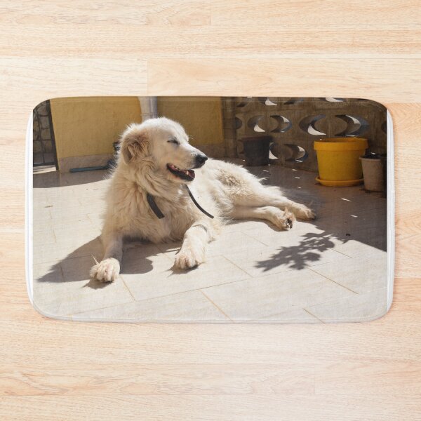 Item preview, Dog resting in the sunlight 1 designed and sold by Furiarossa.