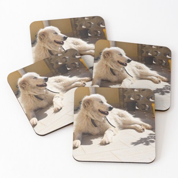 Item preview, Dog resting in the sunlight 1 designed and sold by Furiarossa.