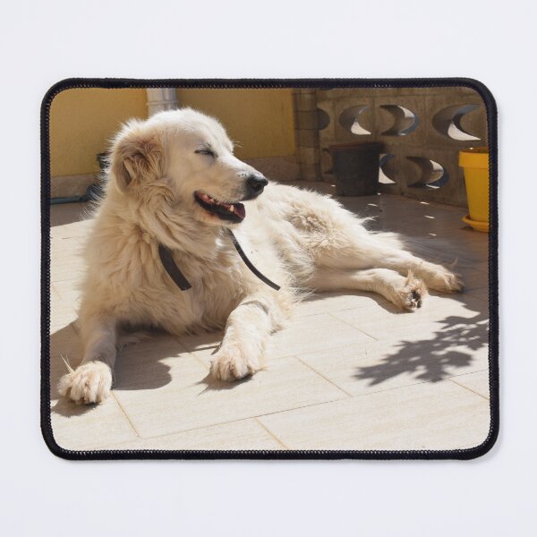 Item preview, Dog resting in the sunlight 1 designed and sold by Furiarossa.