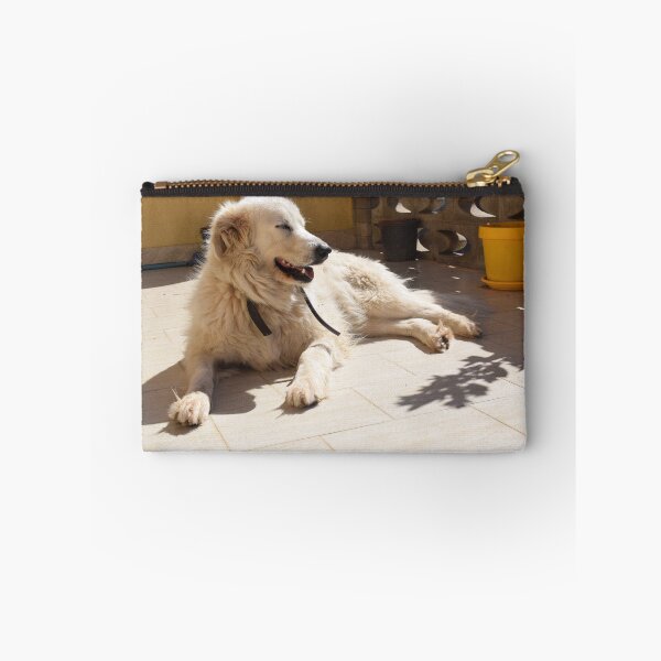 Item preview, Dog resting in the sunlight 1 designed and sold by Furiarossa.