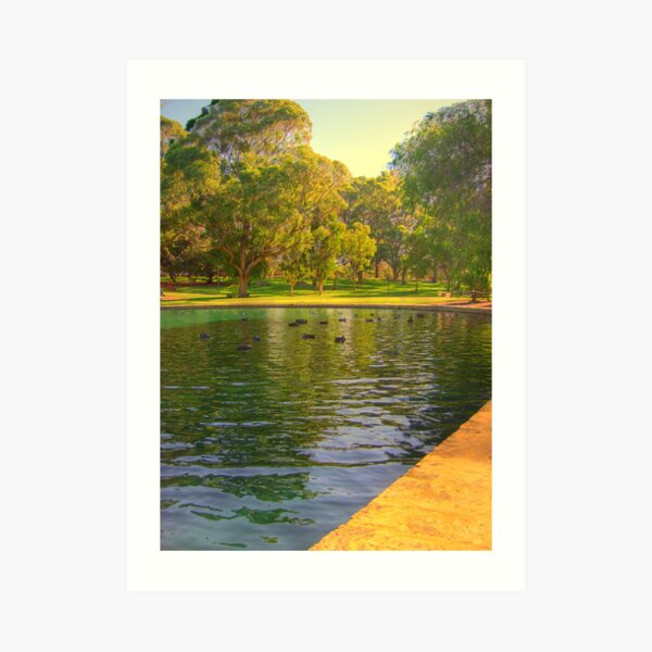 Ducks N Trees Art Print