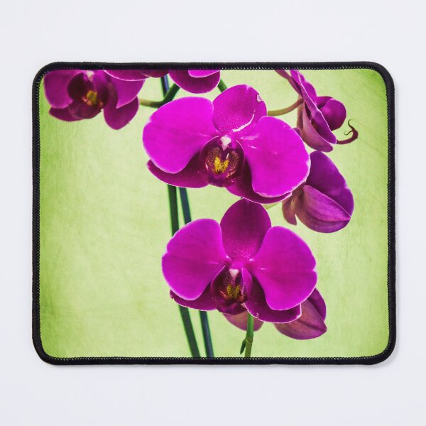 Item preview, Orchid in Green designed and sold by bertsworks300.