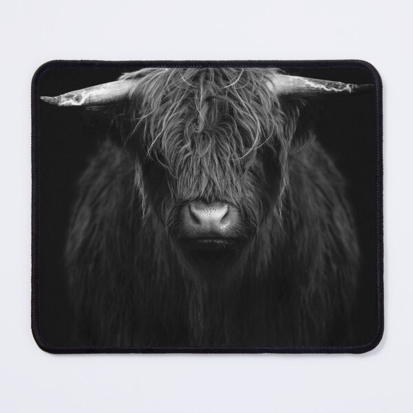 Item preview, Highland Coo designed and sold by UnicornFlamingo.