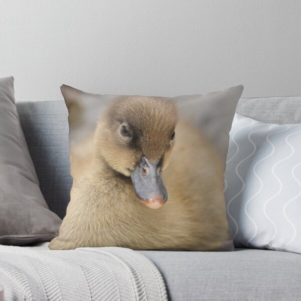Item preview, Mallard Duckling... designed and sold by Chris Kean.