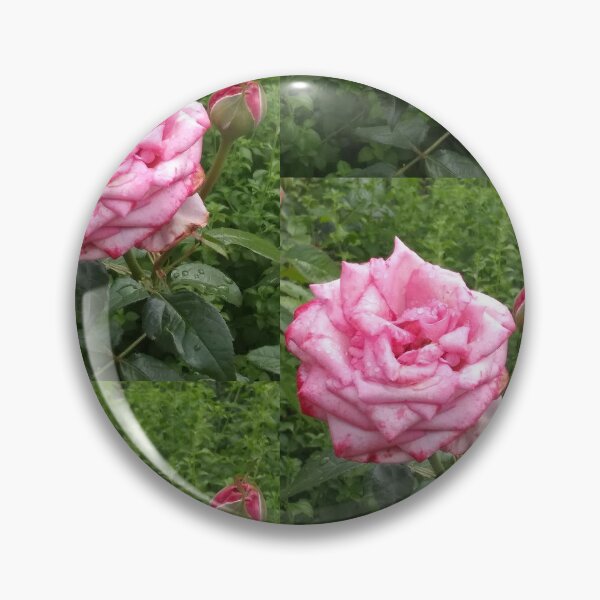 Item preview, Pink Rose designed and sold by RowynSam.