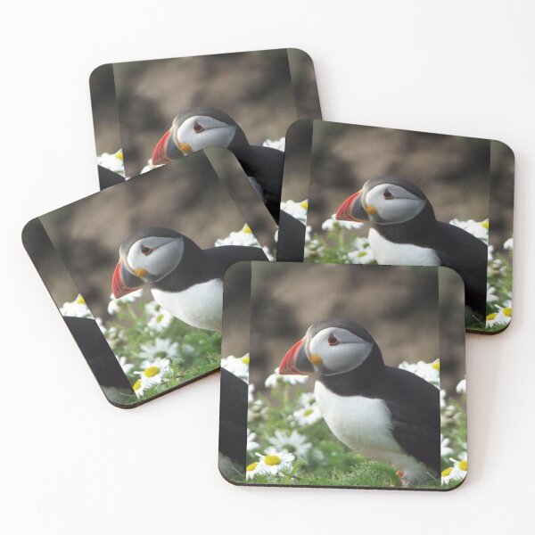 Item preview, A Puffin of the Shetland Isles designed and sold by Emma Boast.