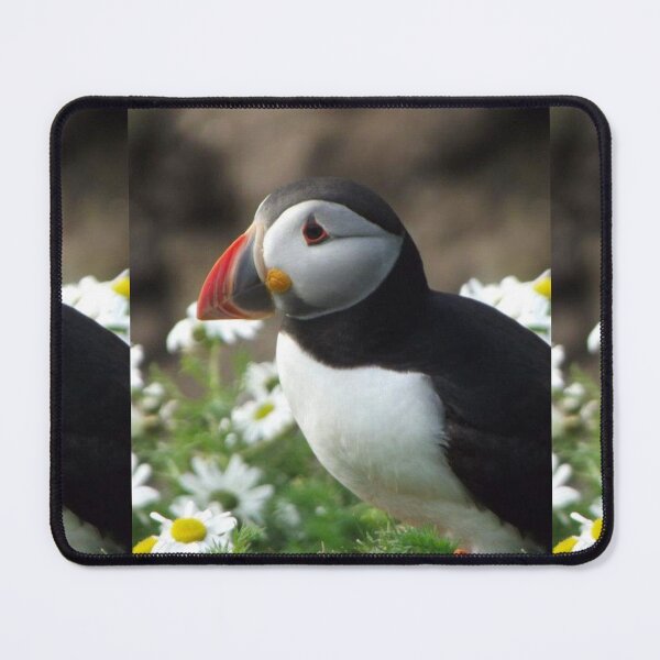 Item preview, A Puffin of the Shetland Isles designed and sold by Emma Boast.