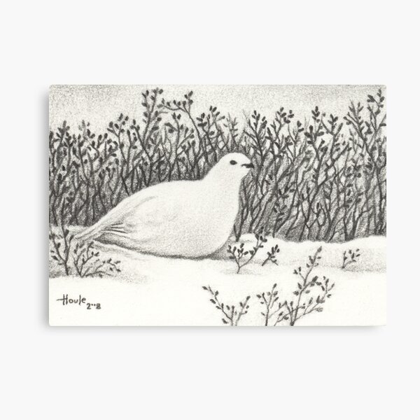 Item preview, Hidden - Ptarmigan designed and sold by John Houle.