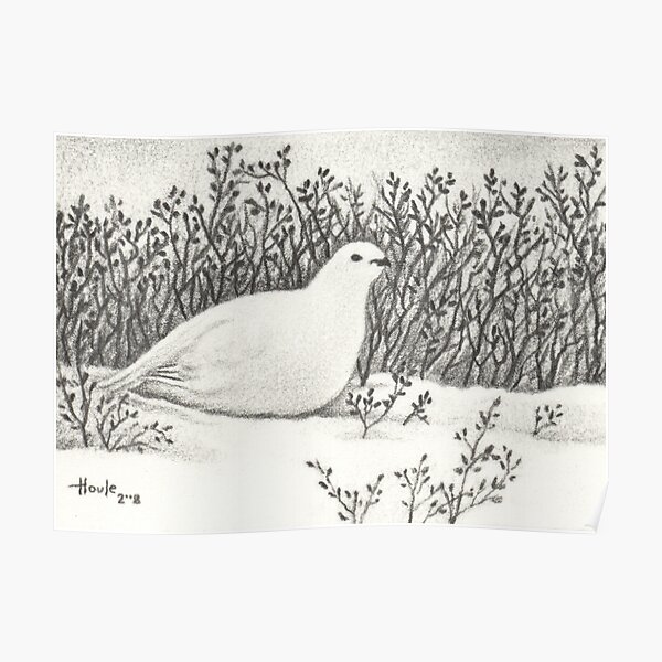 Hidden - Ptarmigan Poster
