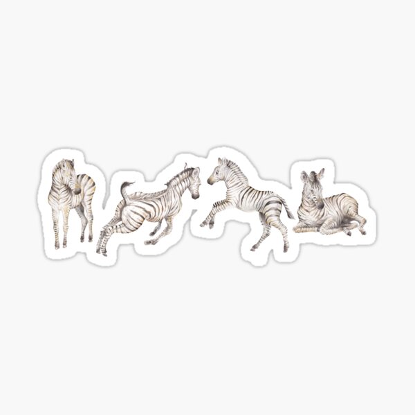 Baby Zebra Sticker