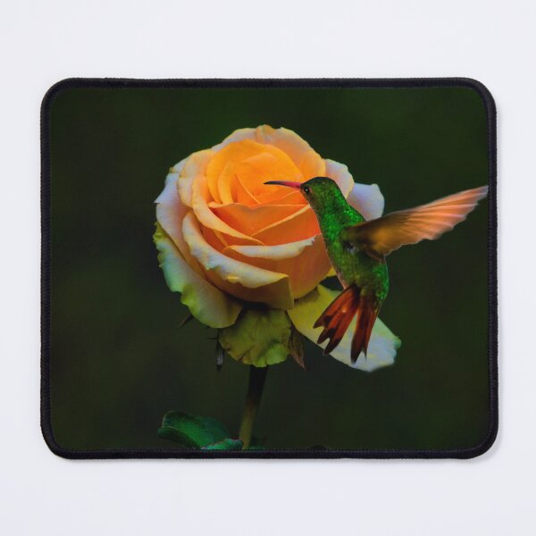 Item preview, I Hover For Food designed and sold by alabca.