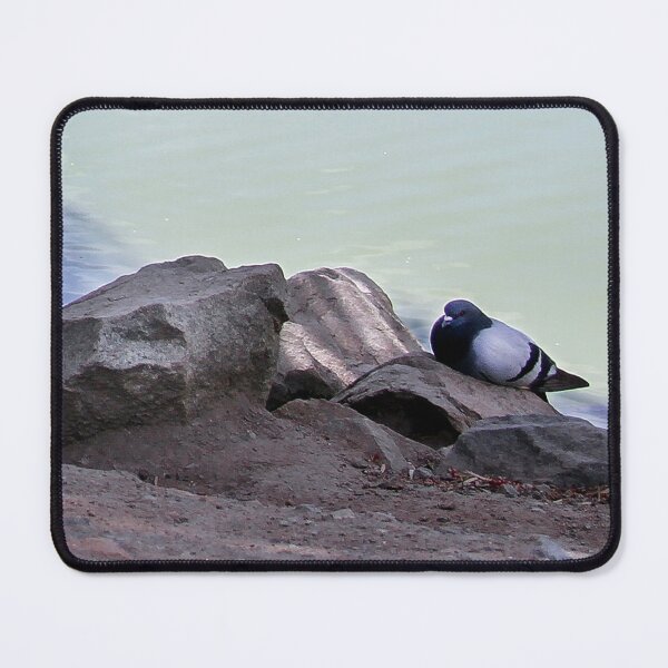 Item preview, Resting on the Rocks designed and sold by heatherfriedman.