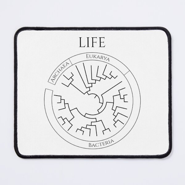 Item preview, Circular Tree of Life designed and sold by Biology Simulations.