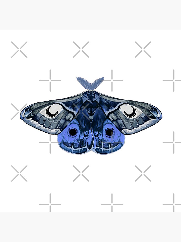 Small Moth Stickers