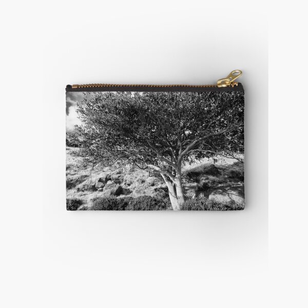 Item preview, Stretch out Stretch up - Victor Harbour South Australia designed and sold by Norman Repacholi | Keystone Photography.