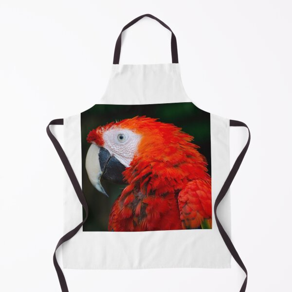 Item preview, scarlet macaw designed and sold by imranshakir.