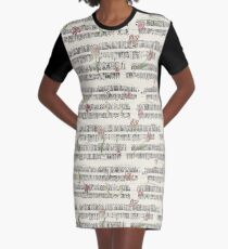 Amsterdam streetscape (late 1700s) Graphic T-Shirt Dress