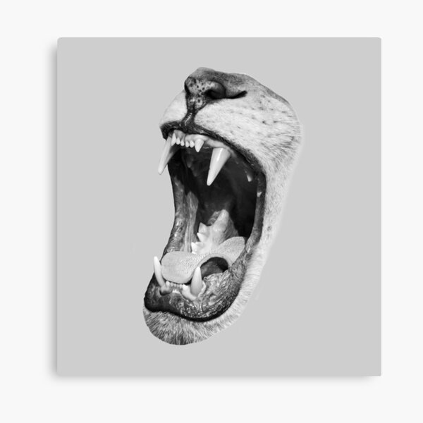 Cut out of an image of a lion roaring Canvas Print