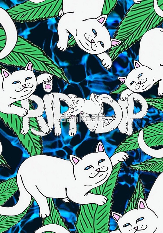 ripndip shirt cat