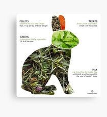 healthy rabbit's diet Canvas Print