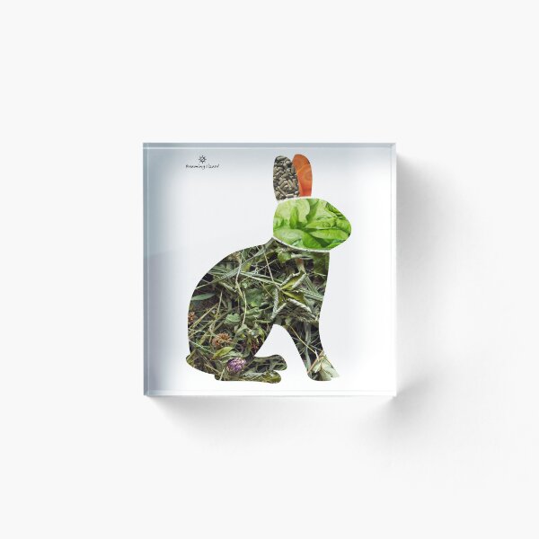 Item preview, healthy rabbit's diet designed and sold by DreamingLizard.