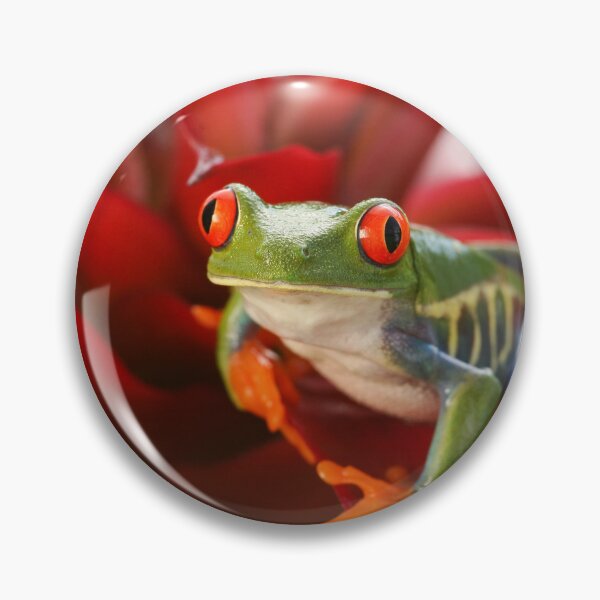 Artikelvorschau, Green Tree Frog with Red Eyes on a Red Flower entworfen und verkauft von Caregiverology.