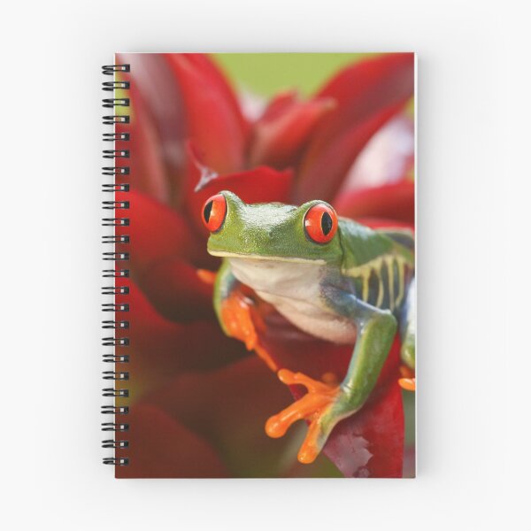 Item preview, Green Tree Frog with Red Eyes on a Red Flower designed and sold by Caregiverology.