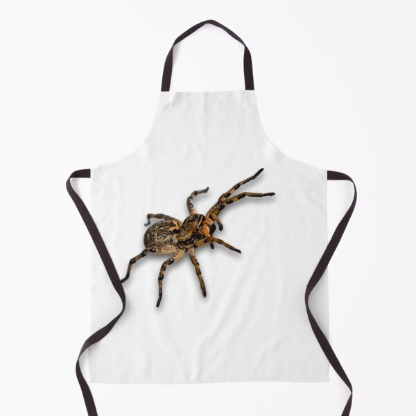 Item preview, Big Spider designed and sold by Metaverse8.