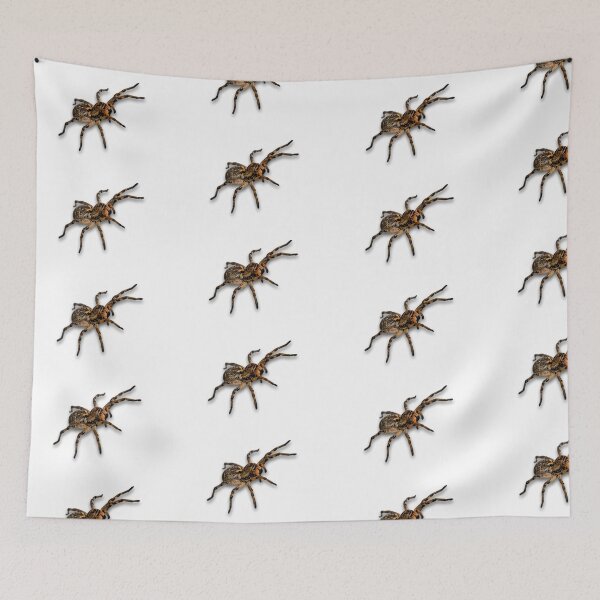 Item preview, Big Spider designed and sold by Metaverse8.
