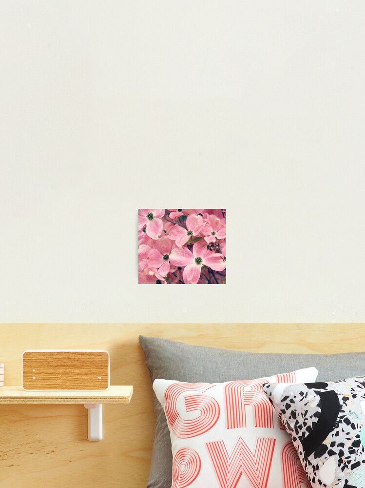 Thumbnail 2 of 3, Photographic Print, Pink designed and sold by RDeleansDesign.