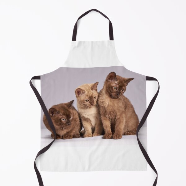 Item preview, Beautiful Cats designed and sold by Metaverse8.