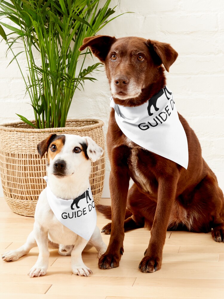 Service dog hotsell in training bandana