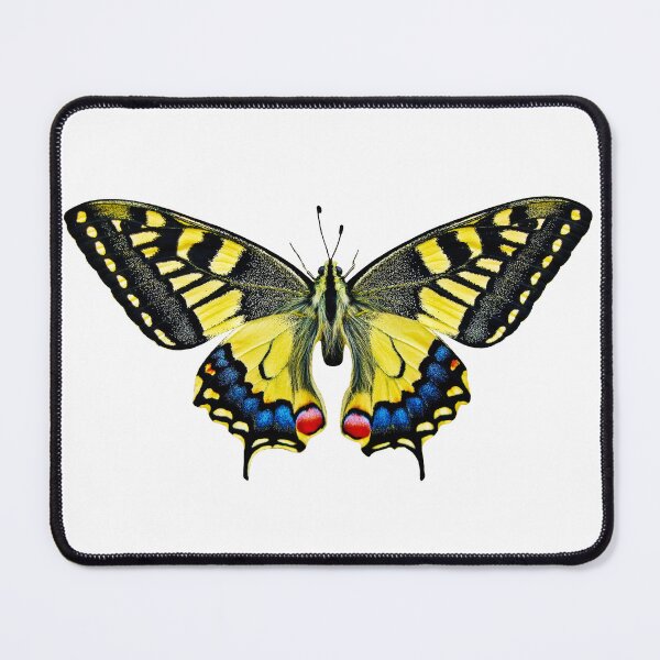 Item preview, Stunning Butterfly designed and sold by Metaverse8.