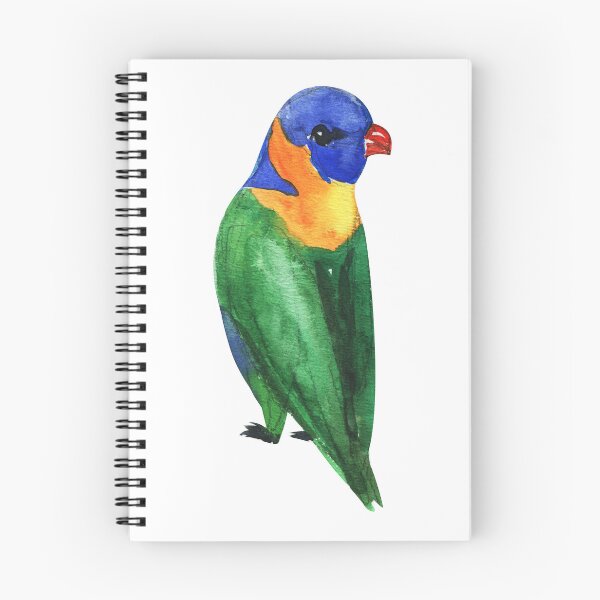 Item preview, Cute Australian Rainbow Lorikeet, Rainbow Lorikeet Watercolor, Colorful Native Australian Birds, Watercolor Rainbow Lorikeet Illustration designed and sold by Paintcorner.