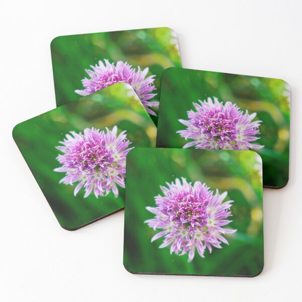 Item preview, Chives flower designed and sold by Araveen-Photo.