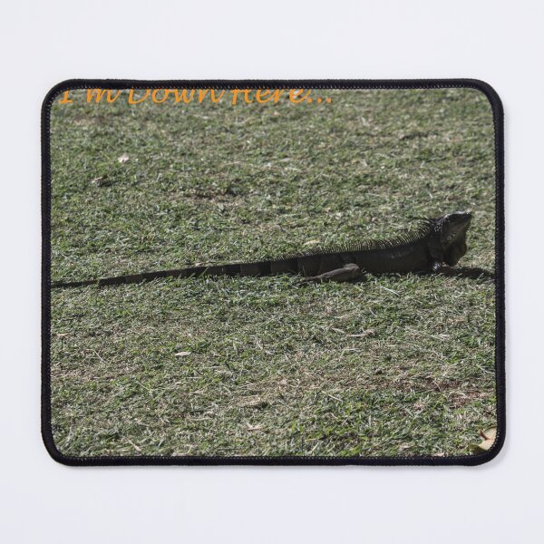 Item preview, Hey, I'm Down Here! designed and sold by bertsworks300.