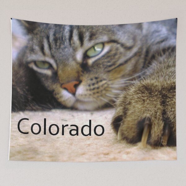Item preview, Colorado designed and sold by BeeGarland.