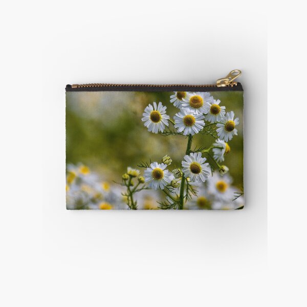 Item preview, English Wild Flowers - Chamomile designed and sold by Violaman.