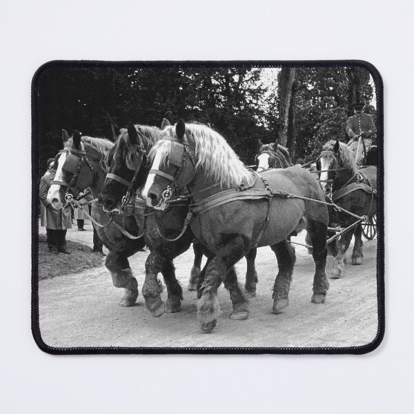 Item preview, r624/ silver time " Open day at Haras de Saintes (17) France 1981 - Journée porte Ouverte au Haras de Saintes " Okaio Créations Olavia-Olao designed and sold by o.okaïo.