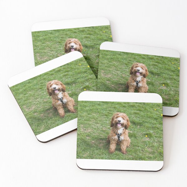 Item preview, Come on, throw the ball for me!!  designed and sold by Cameranick.