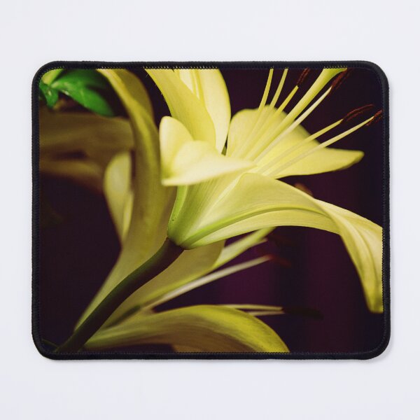 Item preview, Spring Has Arrived! designed and sold by bertsworks300.