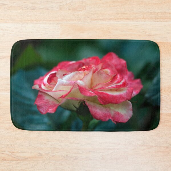 Item preview, Pink rose on nature background designed and sold by olena2552.