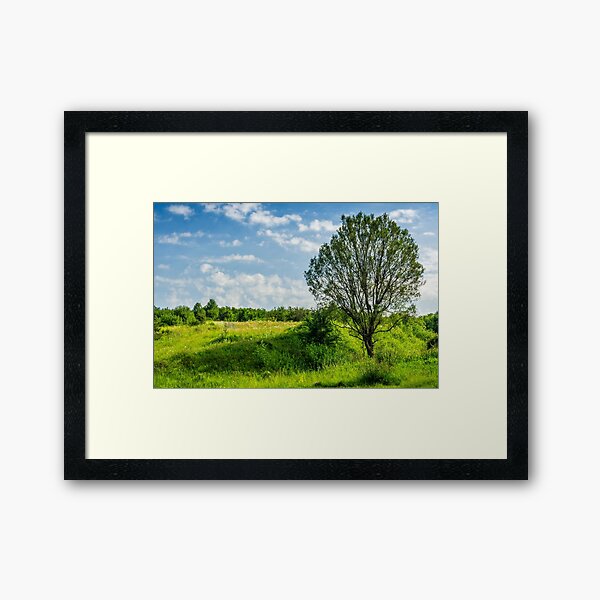 tree in rural area on beautiful summer day Framed Art Print