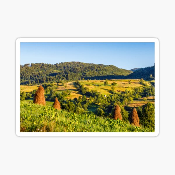 agricultural fields on hills sunrise Sticker
