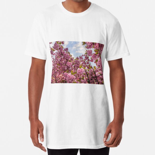 Sakura flower blossom in springtime Long T-Shirt