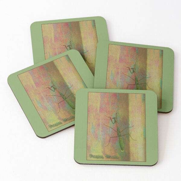 Item preview, Colorful Praying Mantis  designed and sold by CarolM.